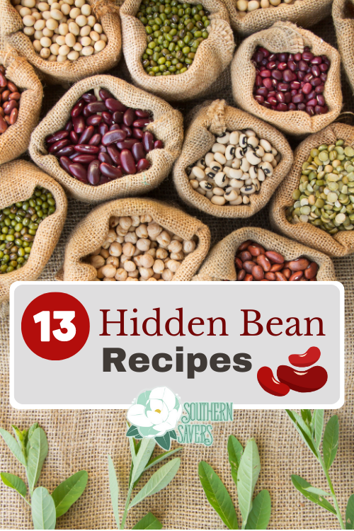 Are you looking to get more protein and fiber in your family's diet? Here are 13 hidden bean recipes that everyone will enjoy! 