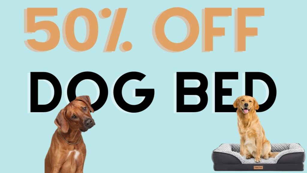 50 Off Large Dog Bed Southern Savers