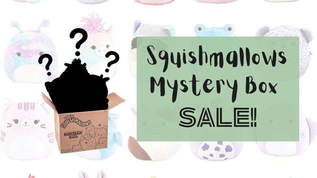 Squishmallows Mystery Box Sale! Southern Savers