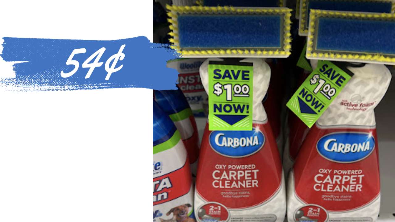 54¢ Carbona Carpet Cleaner at Publix Southern Savers