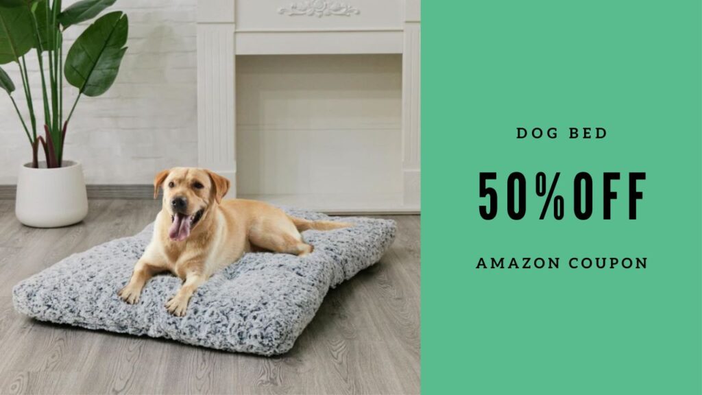 Amazon 50 Off Large Dog Bed Southern Savers