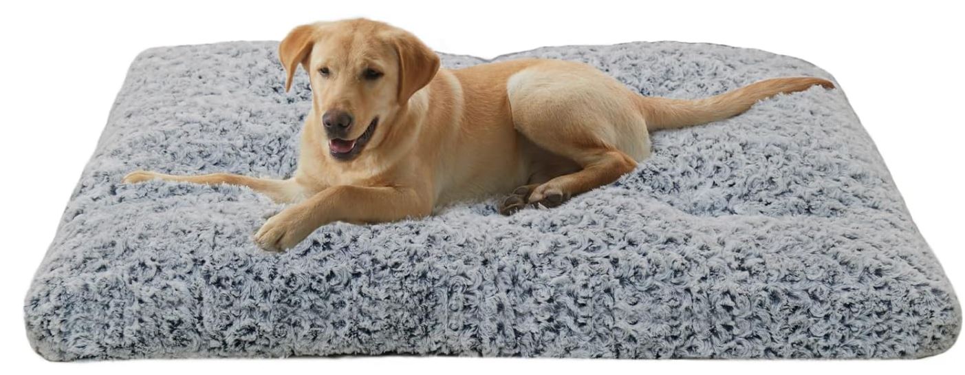 Amazon 50 Off Large Dog Bed Southern Savers