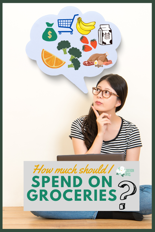 The price of everything has been going up, which begs the question: How much should you spend on groceries? Here are my thoughts on the subject!