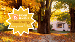 A closer look at Budget Friendly Home Energy Solutions