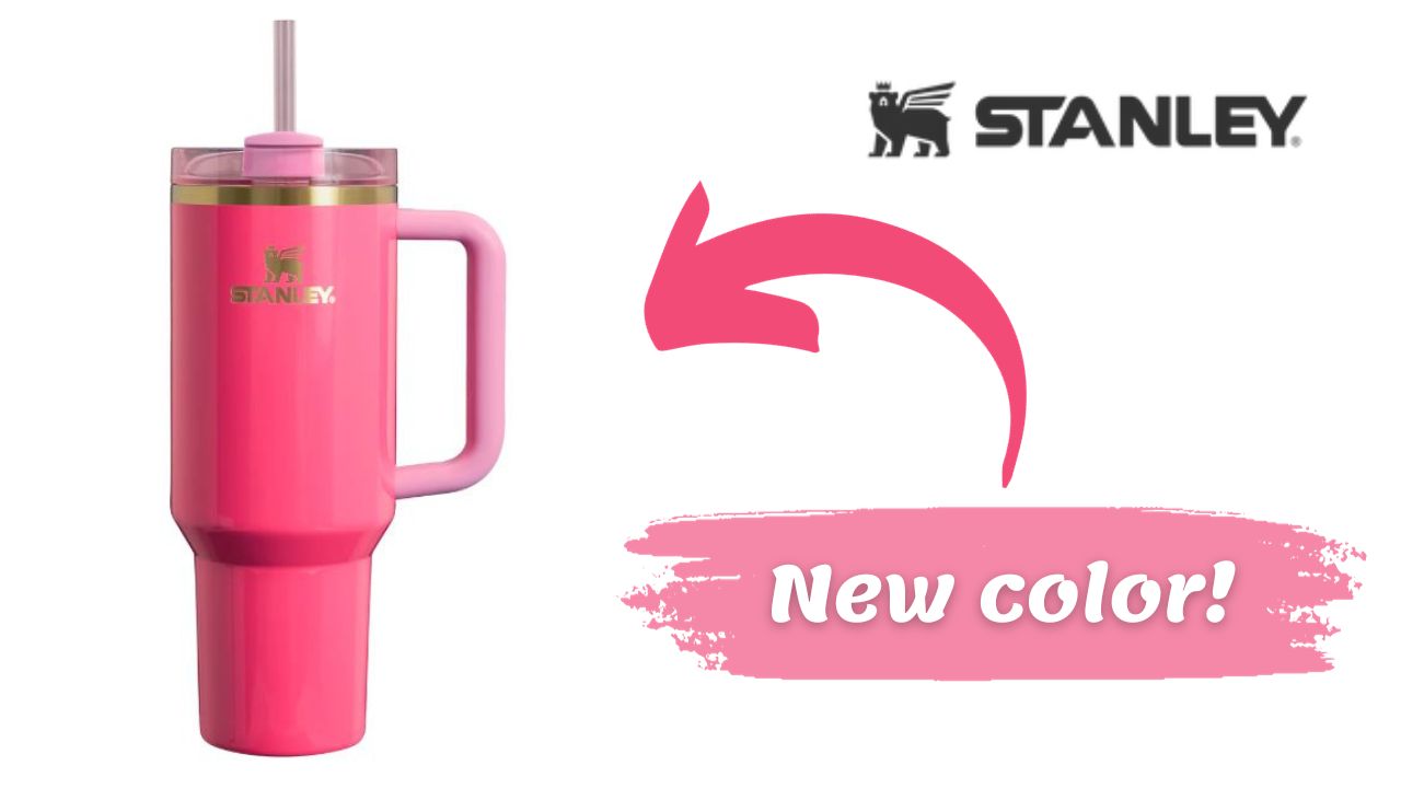 https://www.southernsavers.com/wp-content/uploads/2023/11/stanley-new-color-1.jpg