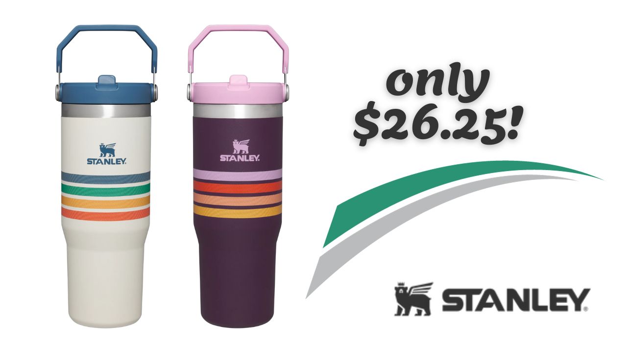 Stanley The Iceflow Flip Straw Tumbler 30 oz - 6 colors available