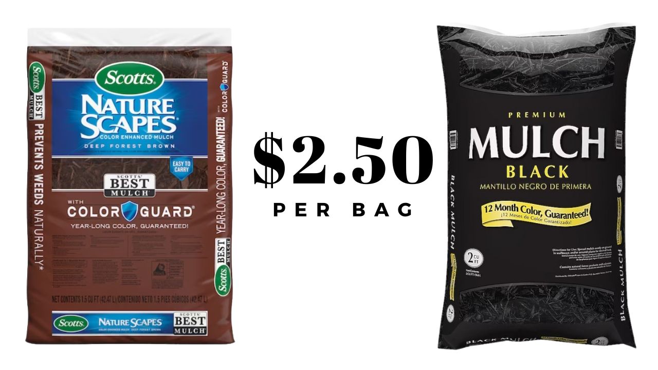 Lowe's 2.50 Bagged Mulch + Flower Deals Southern Savers