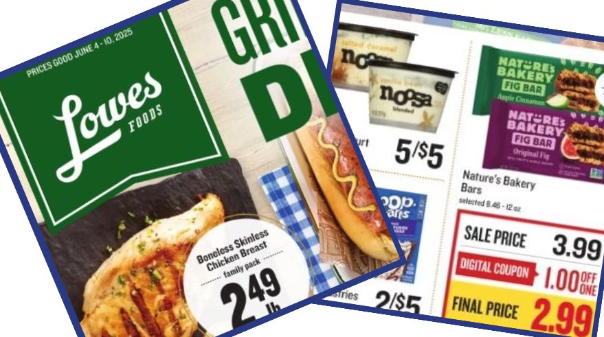 lowes foods weekly ad