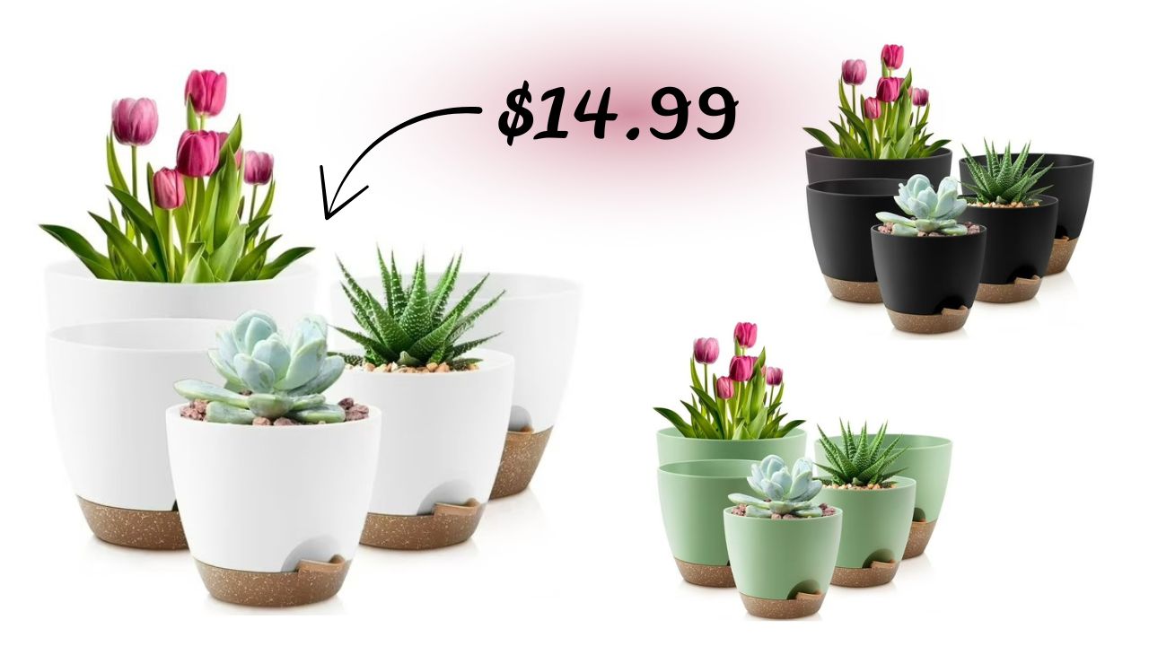 5-Pack Self-Watering Plant Pots, Assorted Sizes, $14.99 at Walmart ...