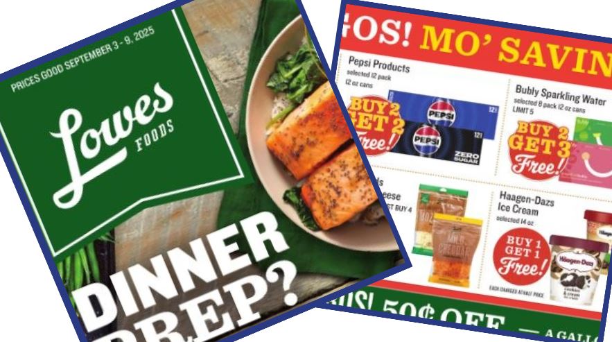 lowes foods weekly ad