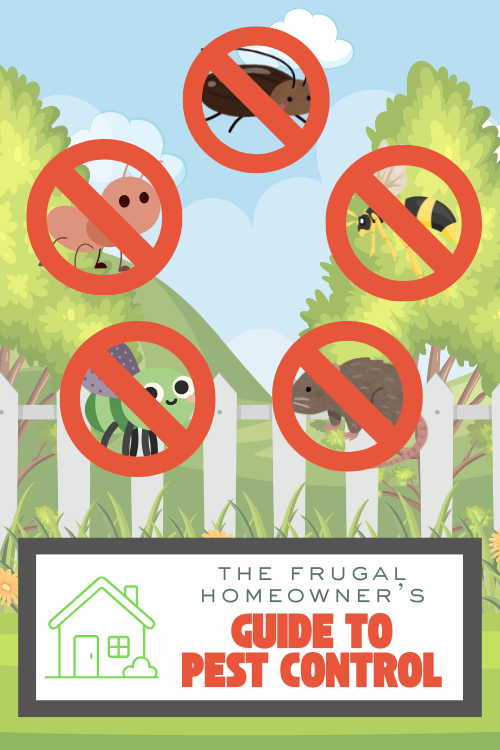 Nobody wants pests in their house, but hiring a company can be expensive. For many issues, you don't need to -- here's my frugal guide to pest control.