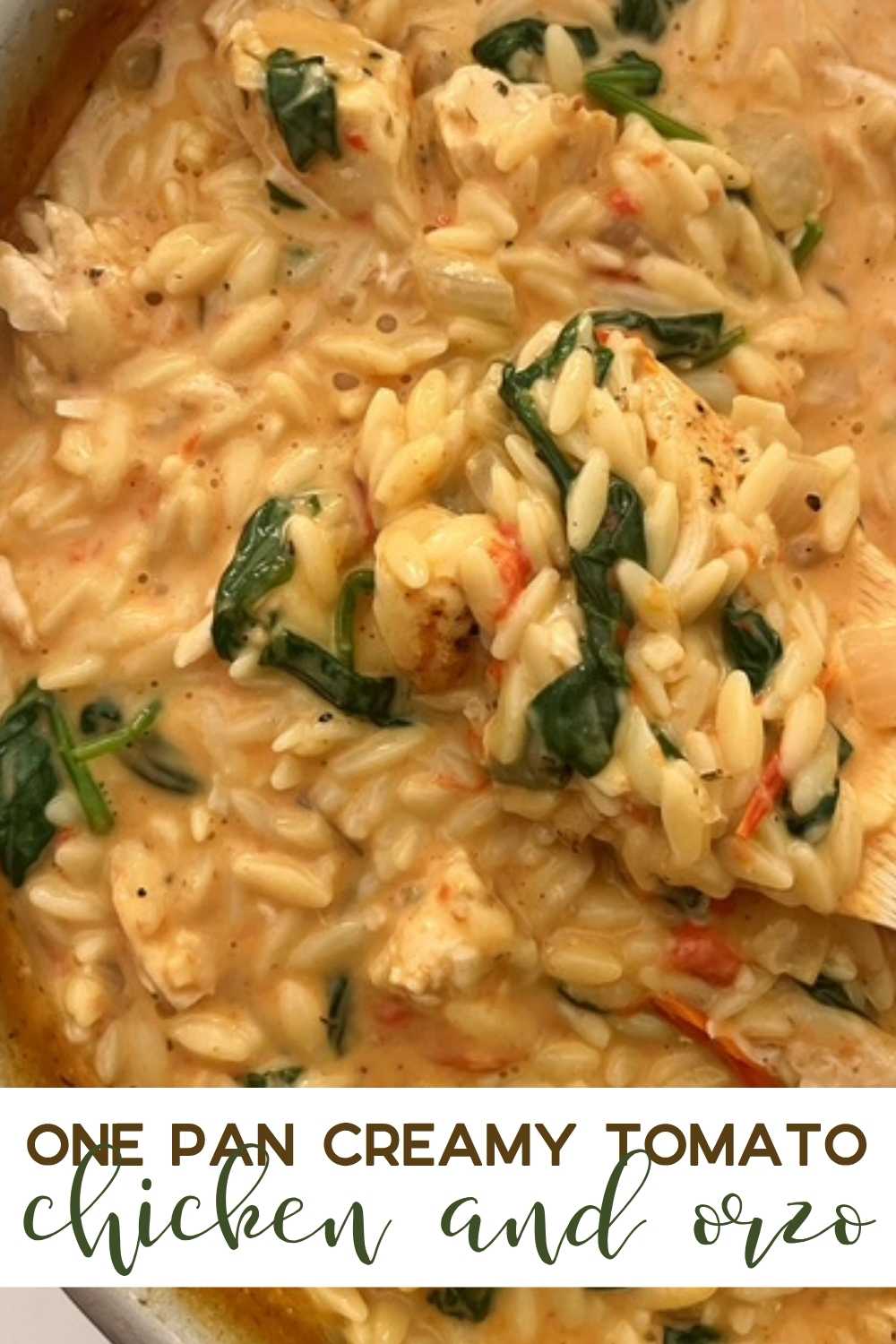 Looking for something different to make for your family's dinner? This one-pan creamy tomato chicken and orzo is SO delicious and not difficult at all!